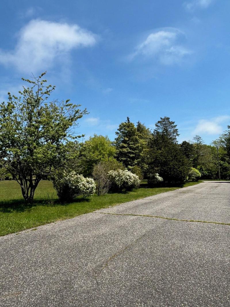 Westhampton Seabreeze Motel image