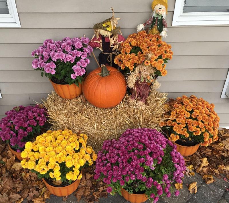 Westhampton Seabreeze Motel image