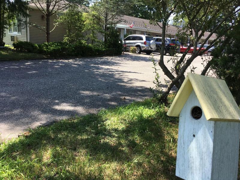 Westhampton Seabreeze Motel image