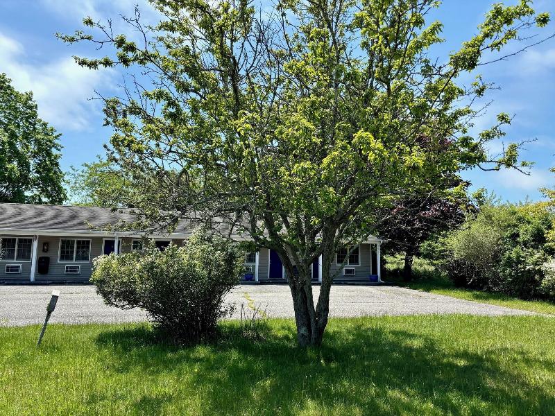 Westhampton Seabreeze Motel image