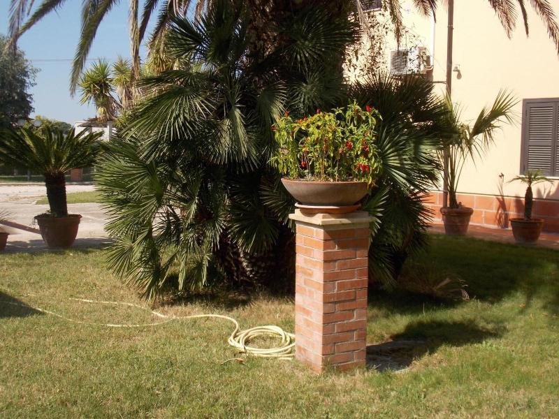 Hotel Villa Dei Butteri image