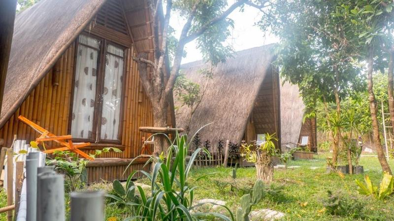 Balili Farm At Nacpan El Nido image