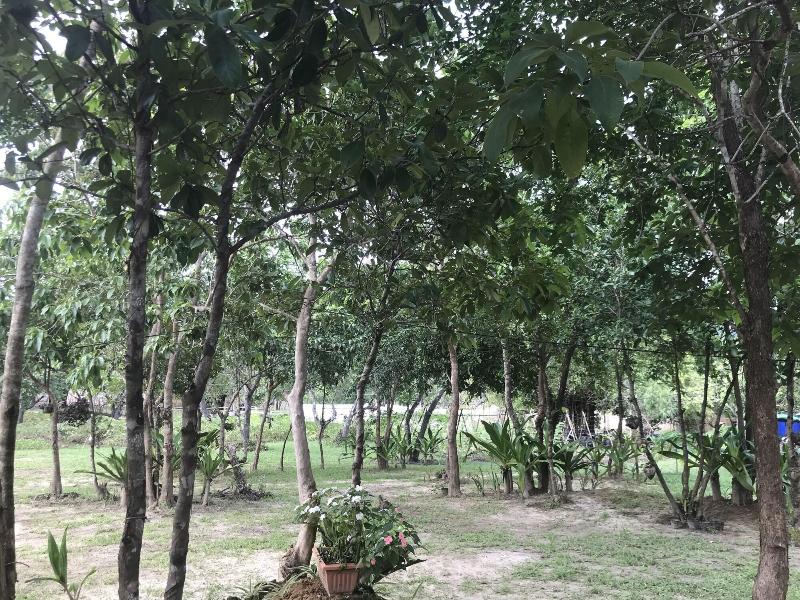 Balili Farm At Nacpan El Nido image