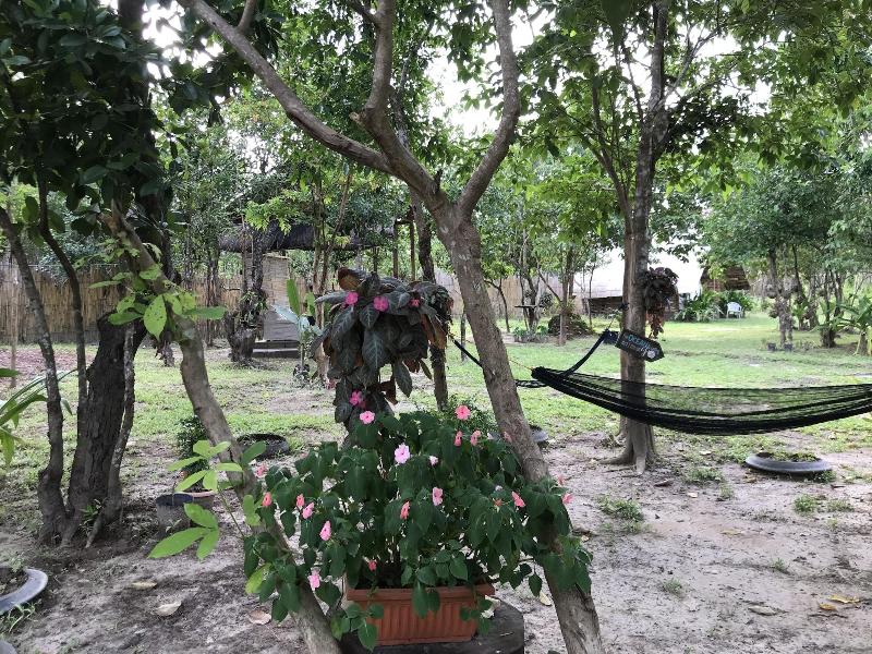 Balili Farm At Nacpan El Nido image