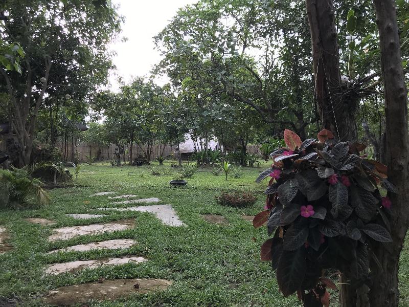 Balili Farm At Nacpan El Nido image