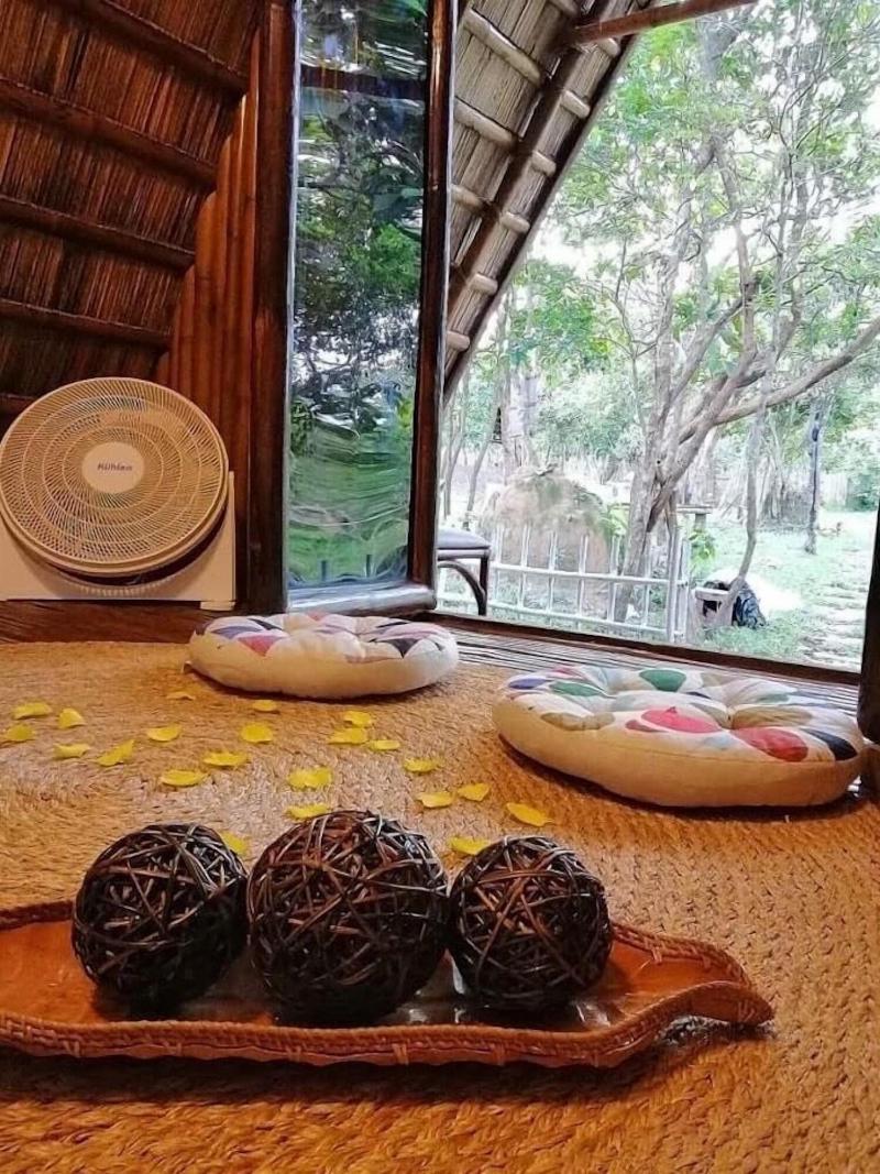 Balili Farm At Nacpan El Nido image