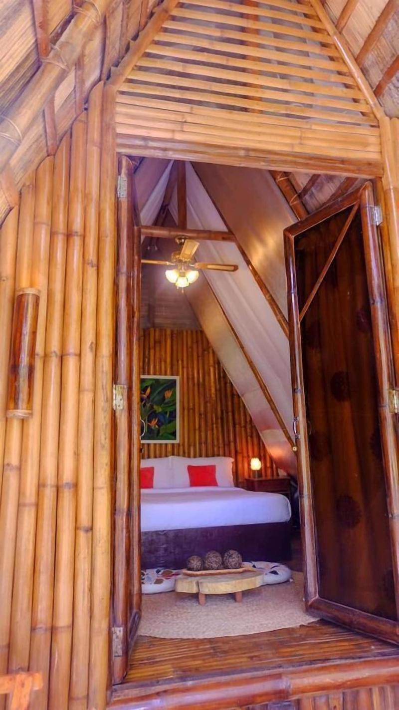 Balili Farm At Nacpan El Nido image