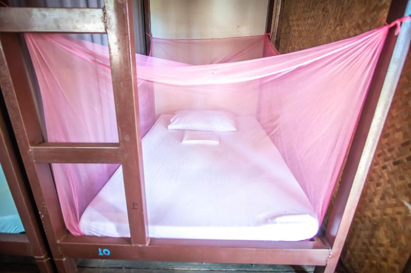 Mad Monkey Hostel Nacpan Beach - Adults Only image 10