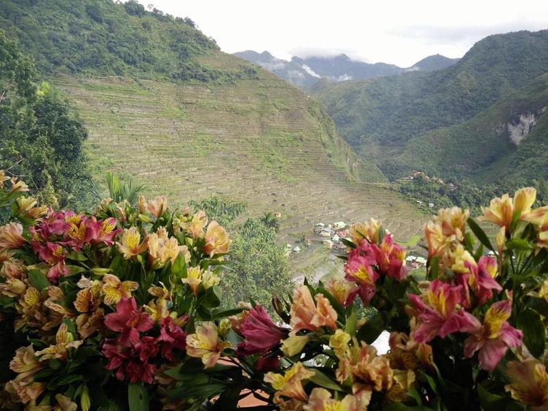 Batad View Inn And Restaurant — general view