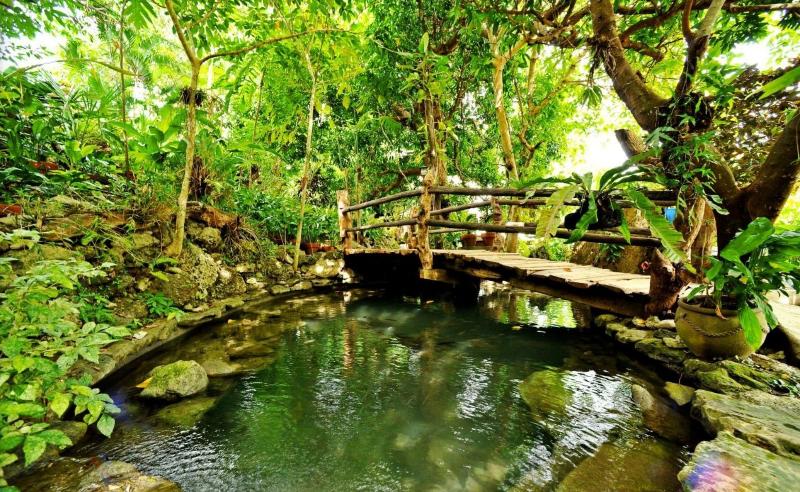 Oldwoods By The Sea Nature Resort image