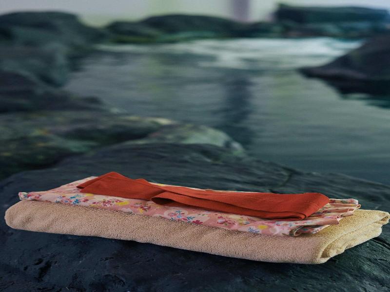 Serenity Hotel Spa & Onsen image
