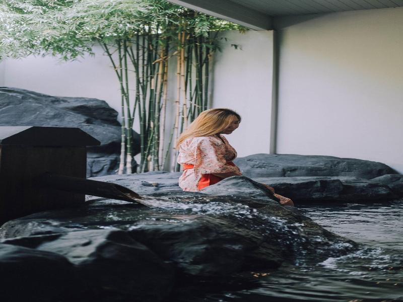Serenity Hotel Spa & Onsen image