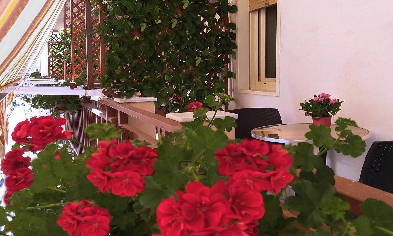 Solaris B&B image