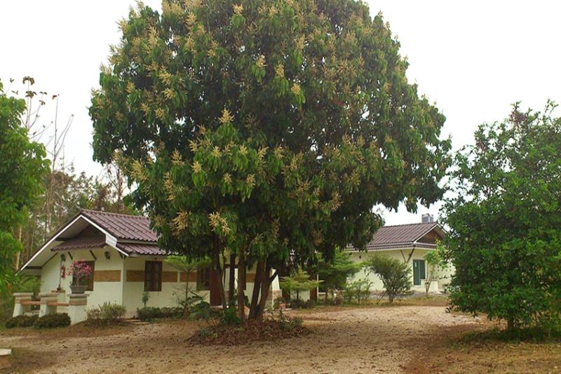 Suan Lamyai Resort image