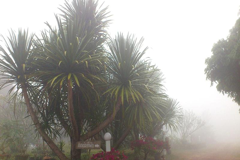 Suan Lamyai Resort image
