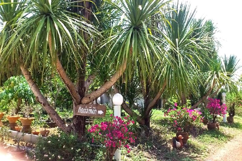Suan Lamyai Resort image
