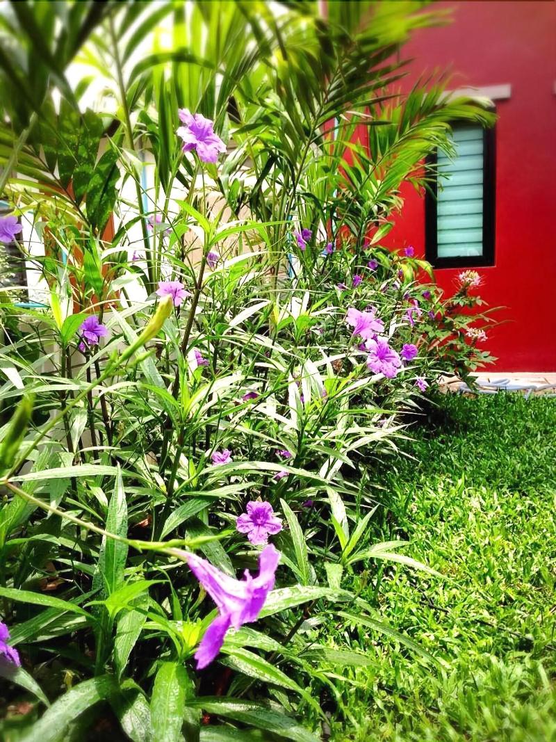 Mulberry House Korat — general view