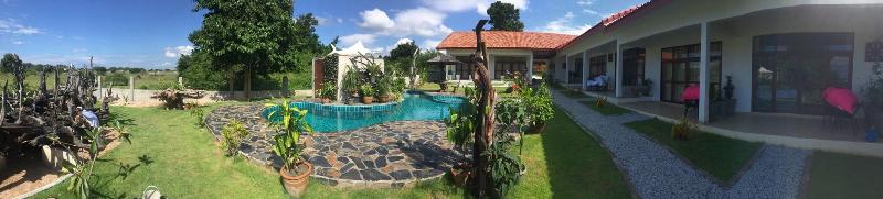 Tree Roots Retreat image