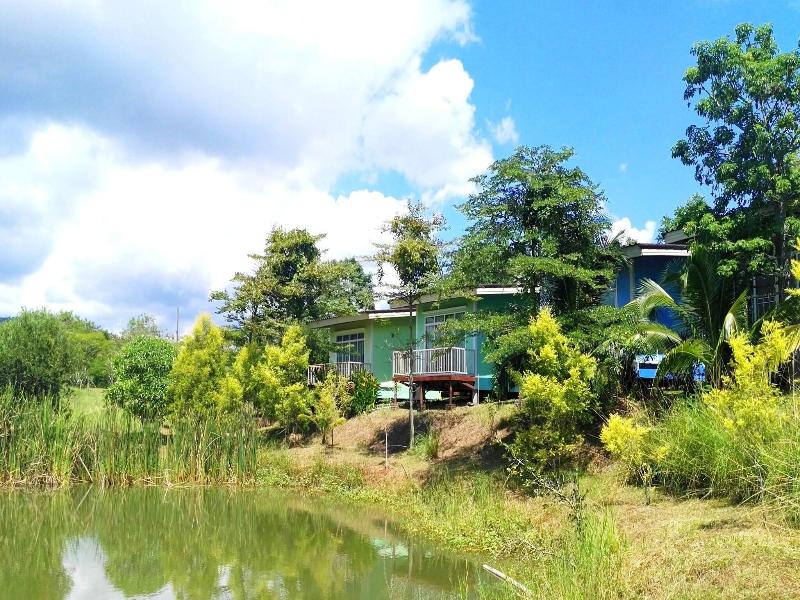 The Creek Villa