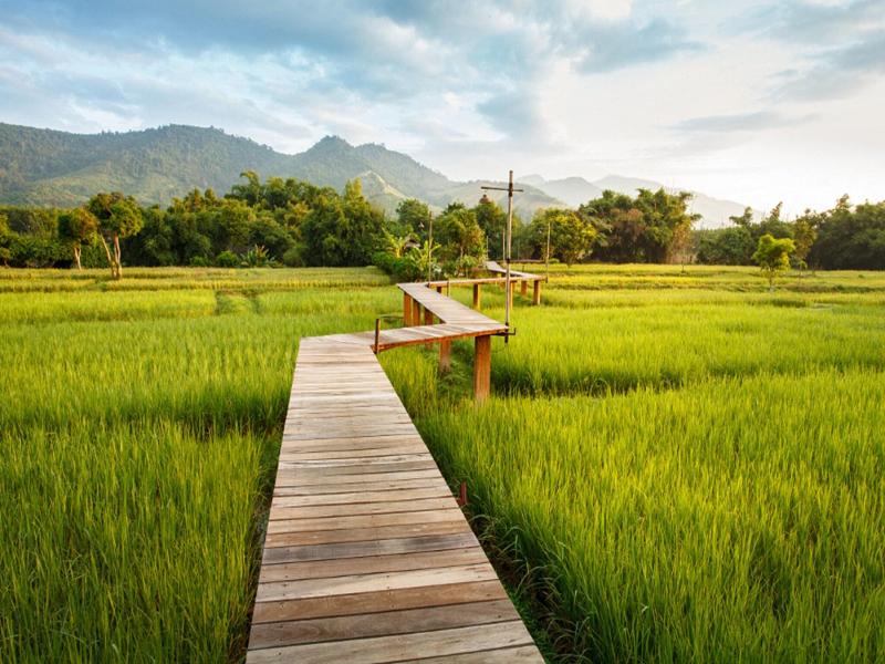 Rai Saeng Arun Resort