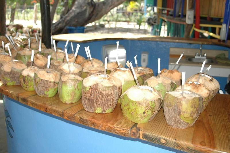 Paraiso Ecolodge