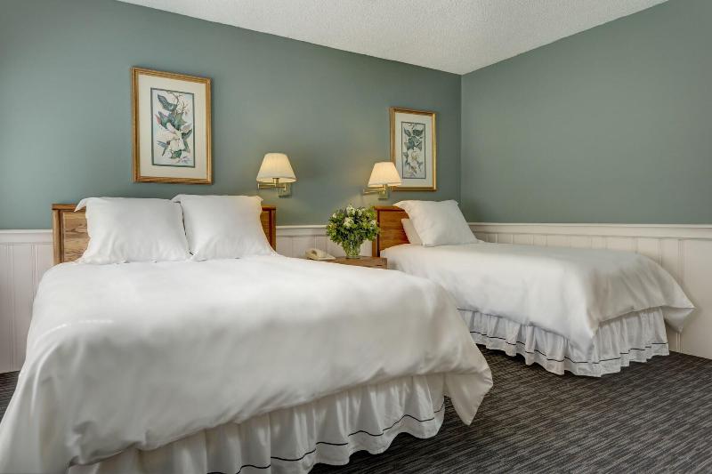 Boyne Mountain Resort image