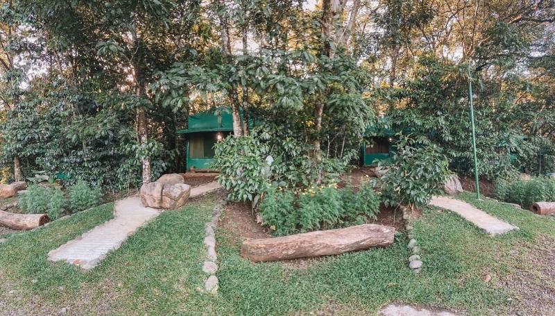 Hotel Del Bosque image