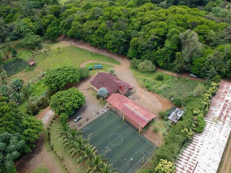 Hotel Del Bosque image