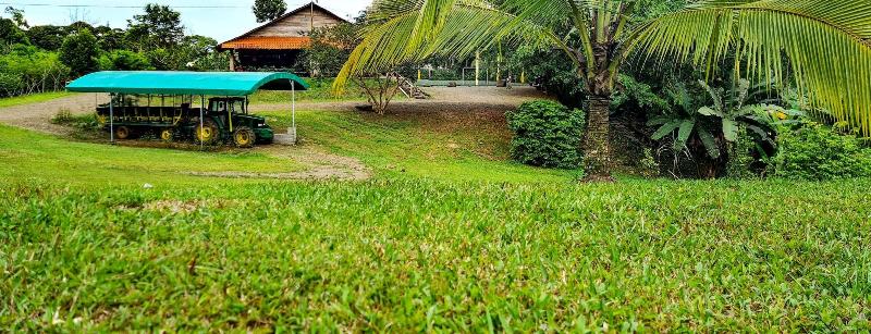 Hotel Del Bosque image