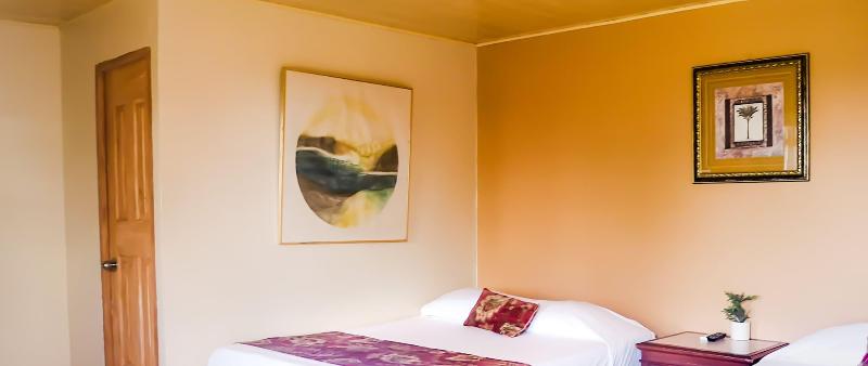 Hotel Del Bosque image