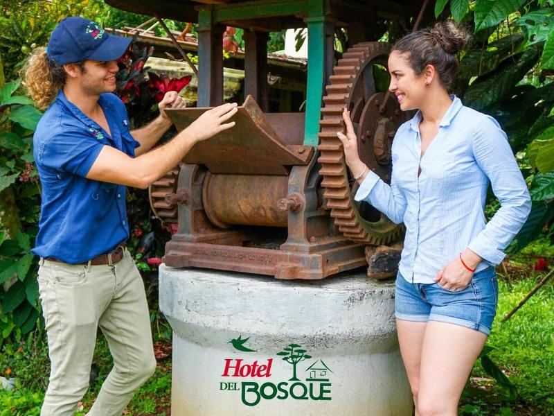 Hotel Del Bosque image