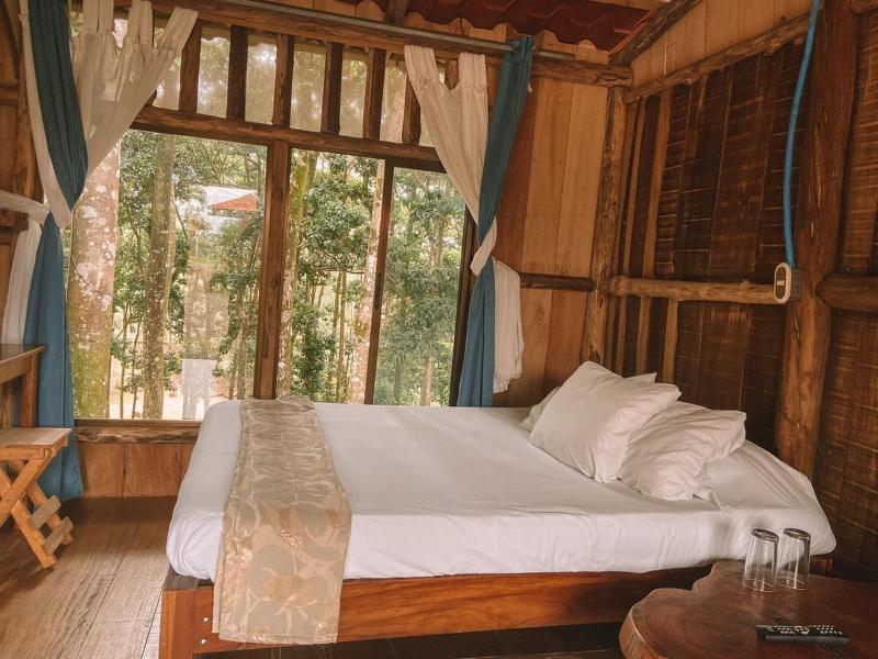 Hotel Del Bosque image