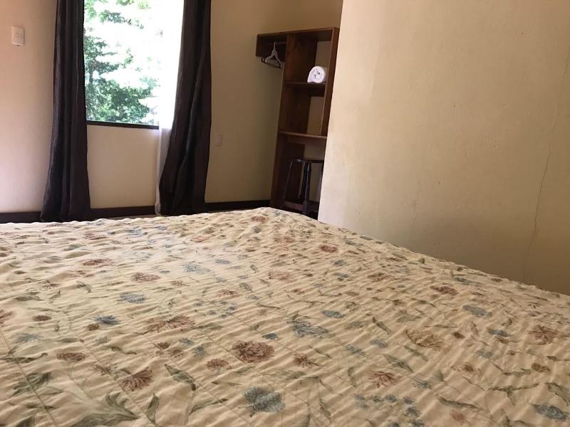 Hotel Del Bosque image