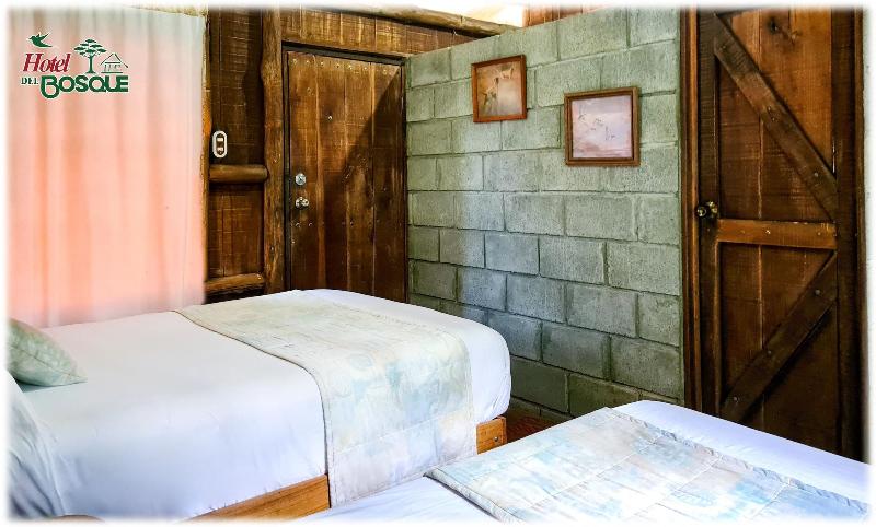 Hotel Del Bosque image