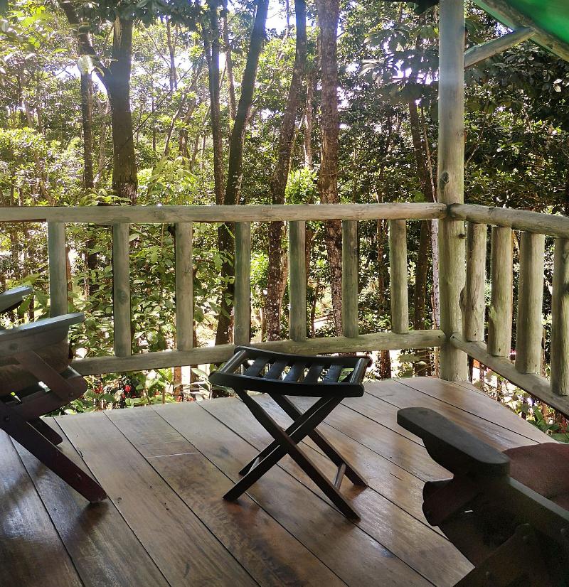 Hotel Del Bosque image