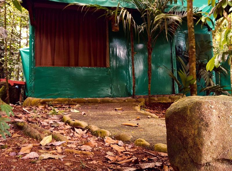 Hotel Del Bosque image