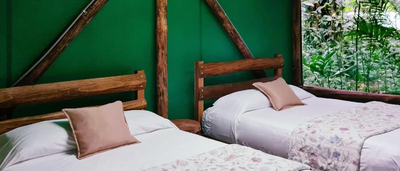 Hotel Del Bosque image