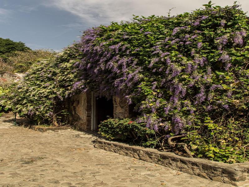 Hacienda San Gabriel De Las Palmas image