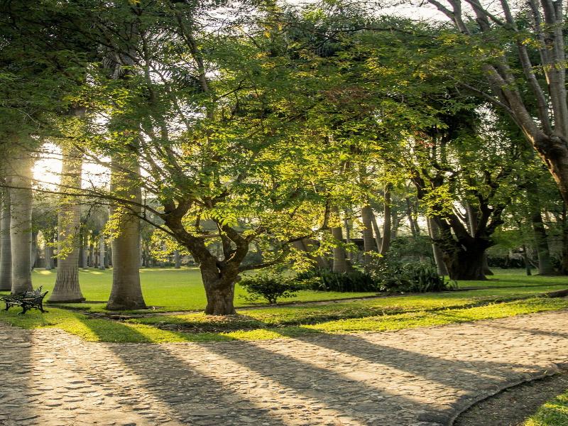Hacienda San Gabriel De Las Palmas image