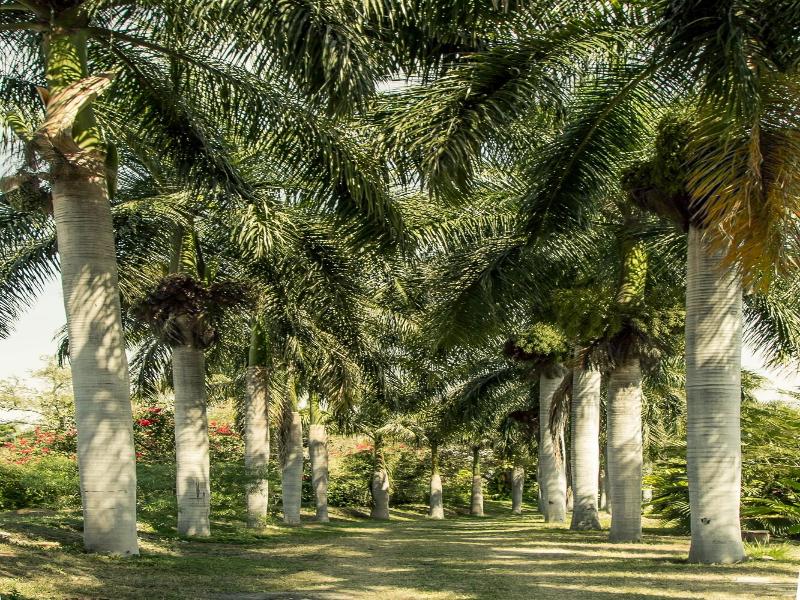 Hacienda San Gabriel De Las Palmas image