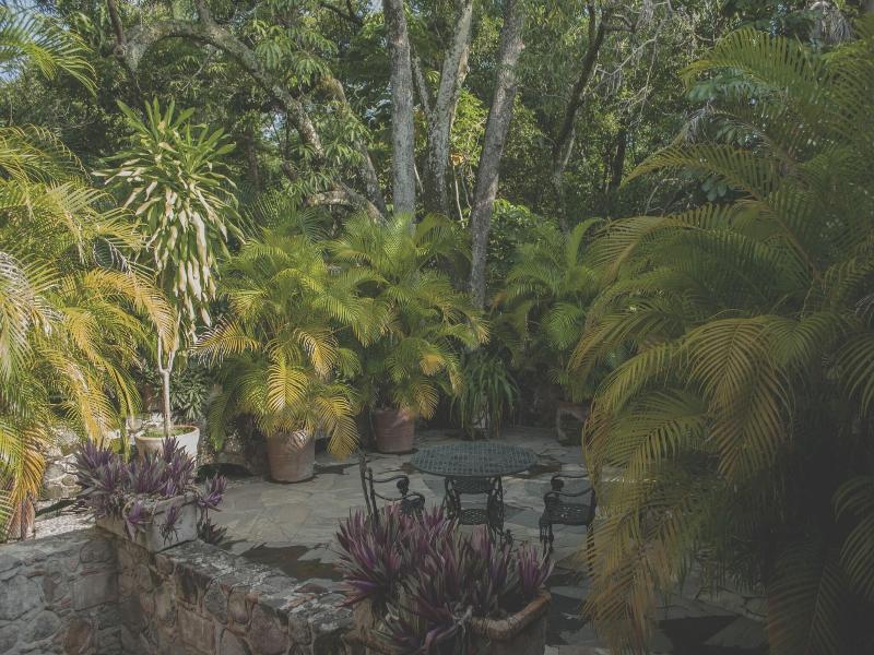 Hacienda San Gabriel De Las Palmas image