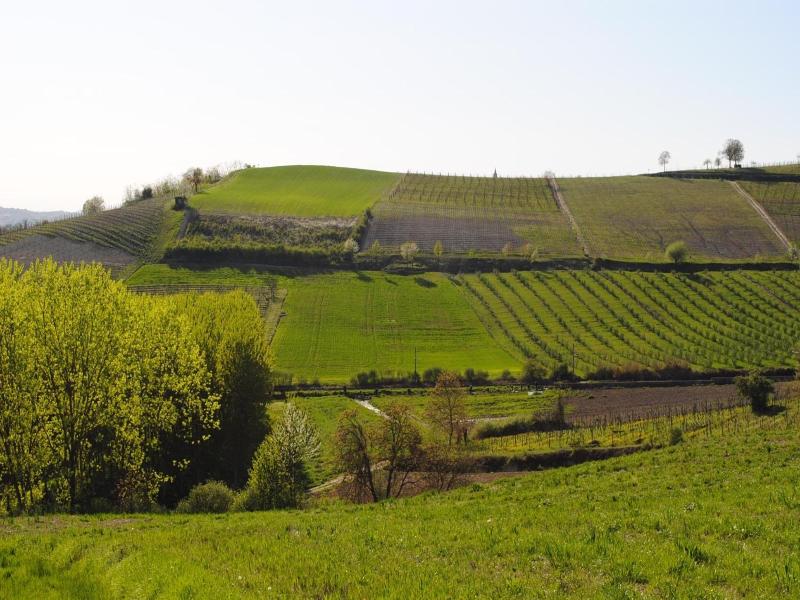 Locanda San Giacomo image