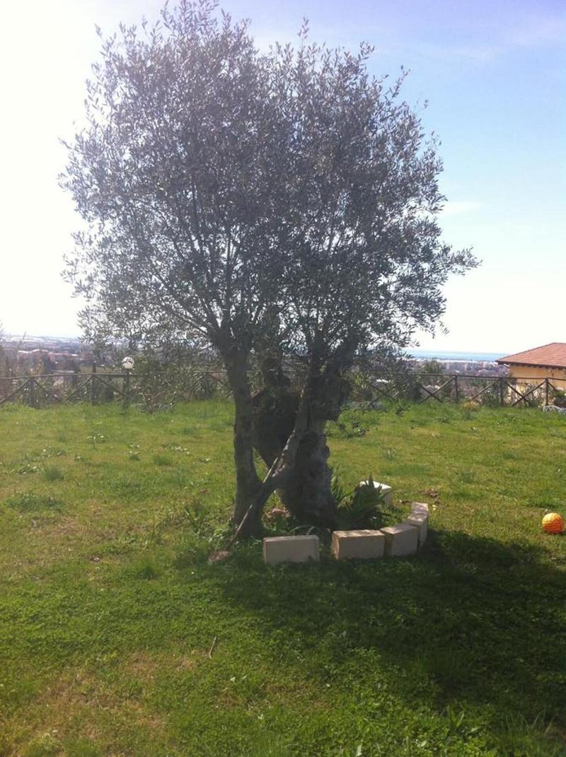 La Dimora Dei 5 Sensi image