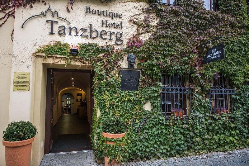Boutique Hotel Tanzberg image