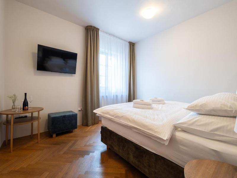 Boutique Hotel Tanzberg image