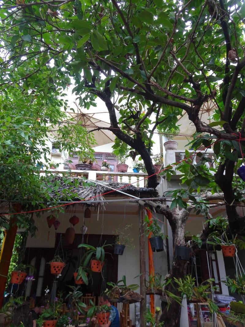 Ngo Khanh Homestay image