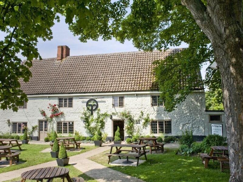 The Orange Tree image