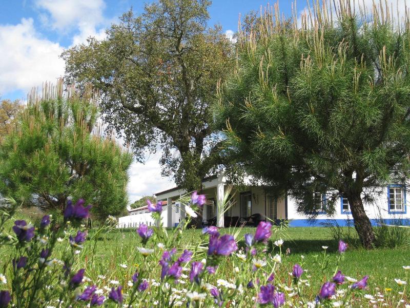 Monte Das Faias image