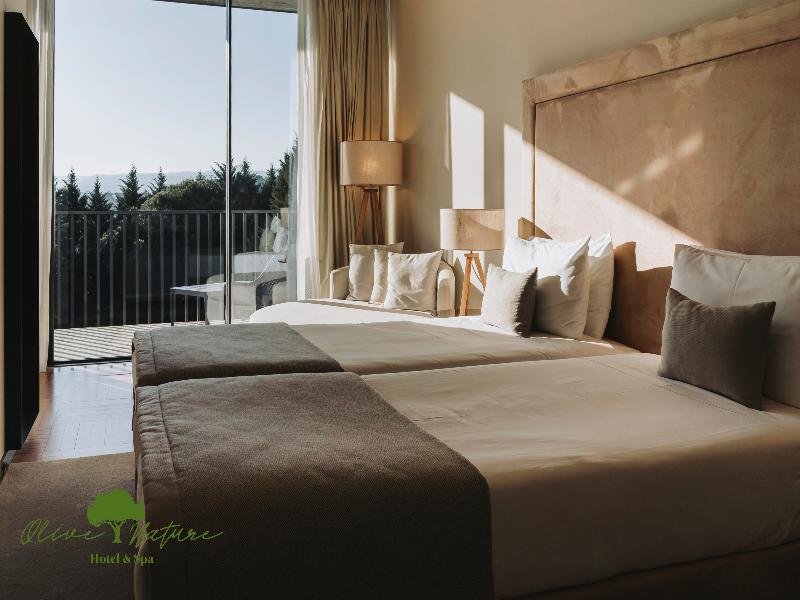 Olive Nature Hotel & SPA - Quinta Valle de Passos image