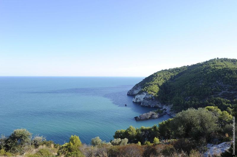 Pugnochiuso Resort - Hotel Degli Ulivi image
